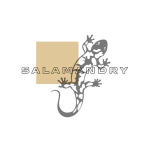Salamandry